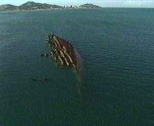 PacificWrecks.com