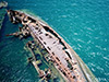 Click For Enlargement