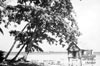 Click For Enlargement
