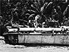Click For Enlargement