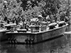 PacificWrecks.com