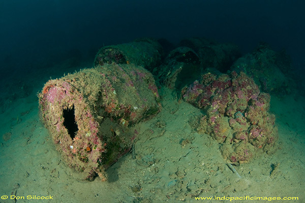 PacificWrecks.com