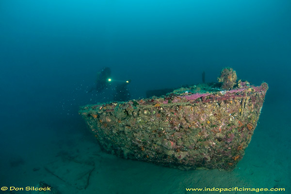 PacificWrecks.com
