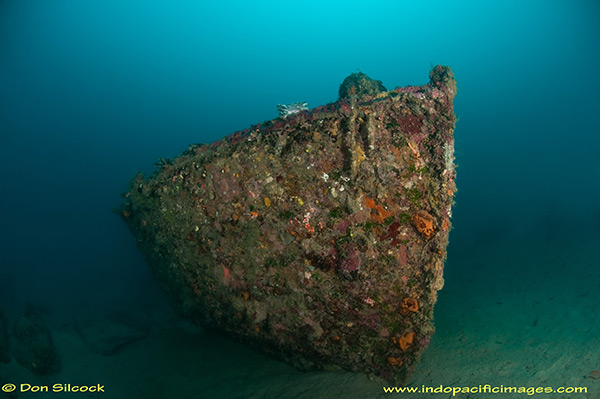 PacificWrecks.com