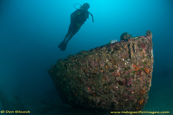 PacificWrecks.com