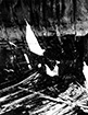 Click For Enlargement