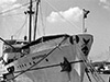 Click For Enlargement