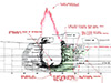 Click For Enlargement