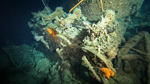 PacificWrecks.com