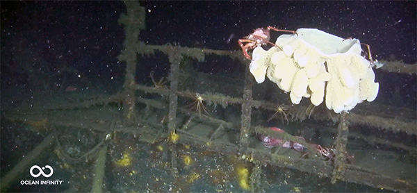 PacificWrecks.com
