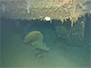 Click For Enlargement