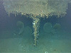 Click For Enlargement