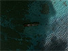 Click For Enlargement