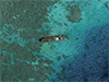 Click For Enlargement