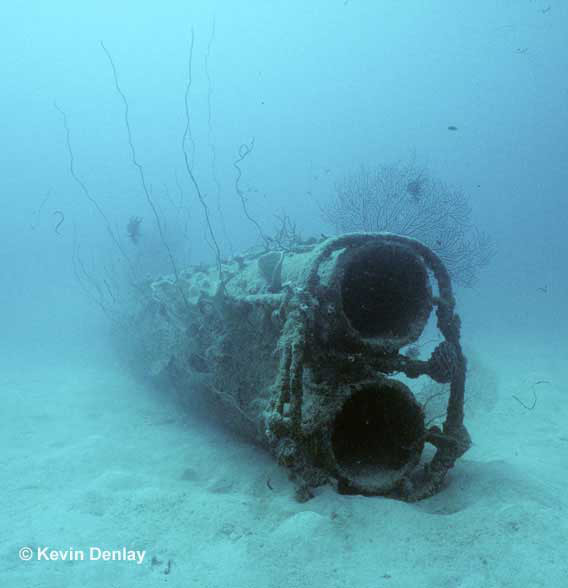 PacificWrecks.com