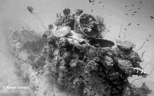 PacificWrecks.com
