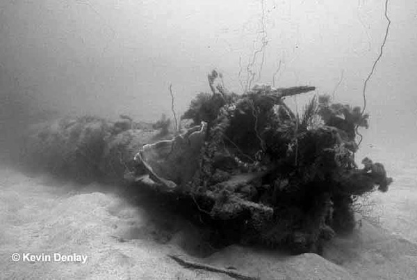 PacificWrecks.com