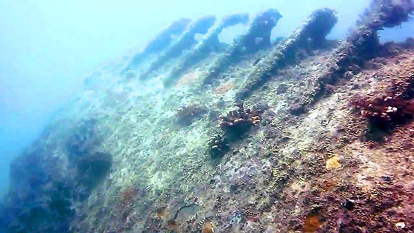 PacificWrecks.com