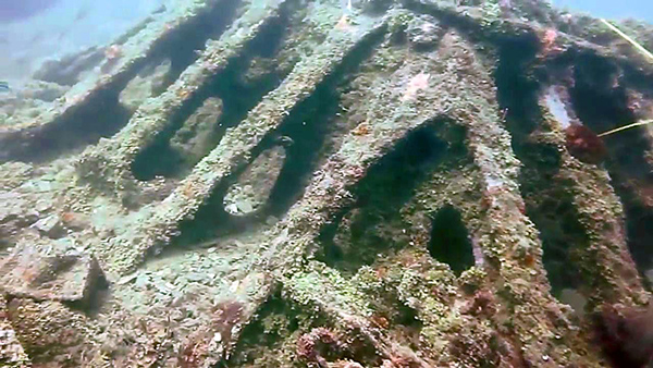 PacificWrecks.com