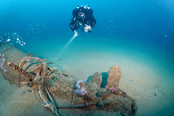 PacificWrecks.com
