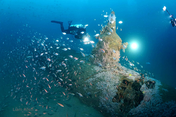 PacificWrecks.com