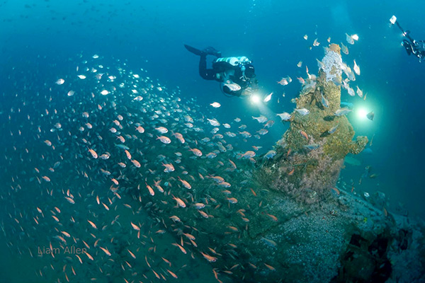 PacificWrecks.com