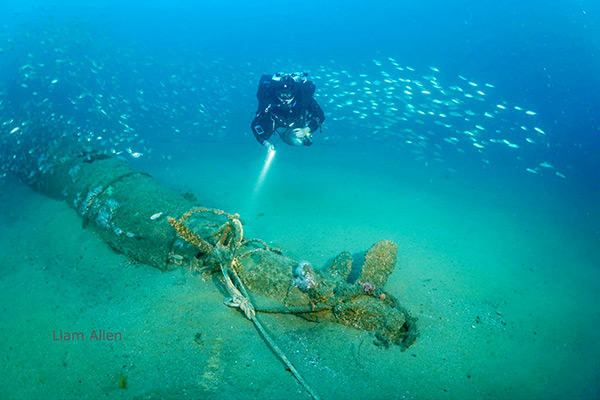 PacificWrecks.com