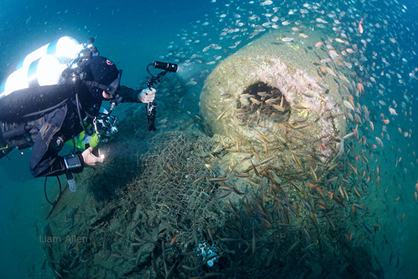 PacificWrecks.com