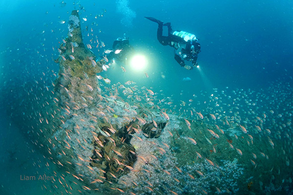 PacificWrecks.com