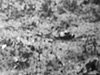 Click For Enlargement