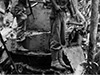Click For Enlargement