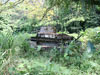 Click For Enlargement