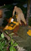 Click For Enlargement