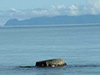 Click For Enlargement