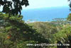 Click For Enlargement